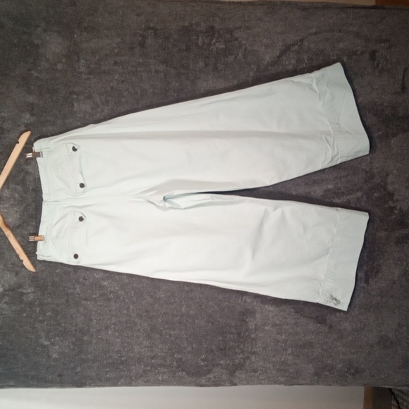 Everlane Mint Green Wide Leg High Waisted Pleated Womens Pants (Flawed) Size 10 - Picture 3 of 13